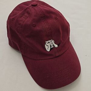 Ripndip Splash wine strap back dad hat